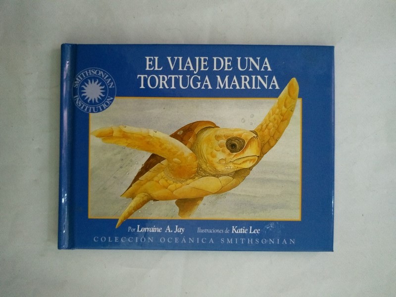 El viaje de una tortuga marina