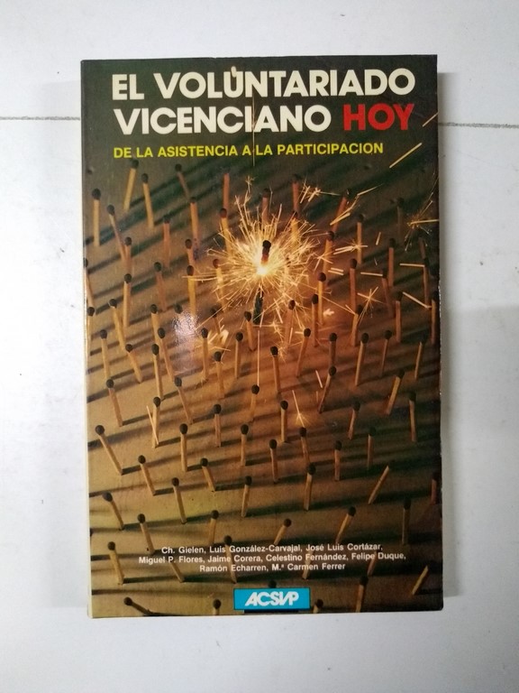 El voluntariado vicenciano hoy