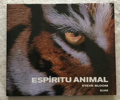 Espíritu animal