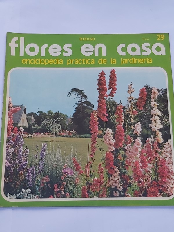 Flores en casa. 29