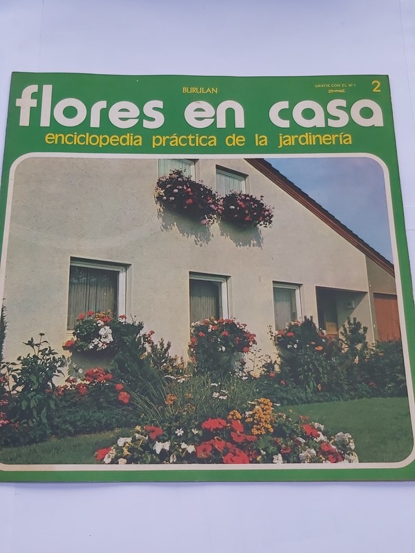 Flores en casa. 2