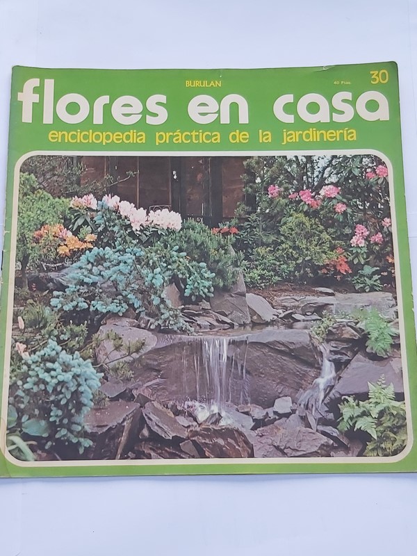 Flores en casa. 30