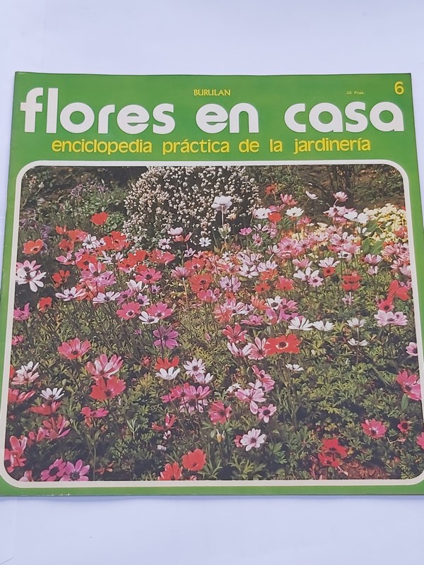Flores en casa. 6