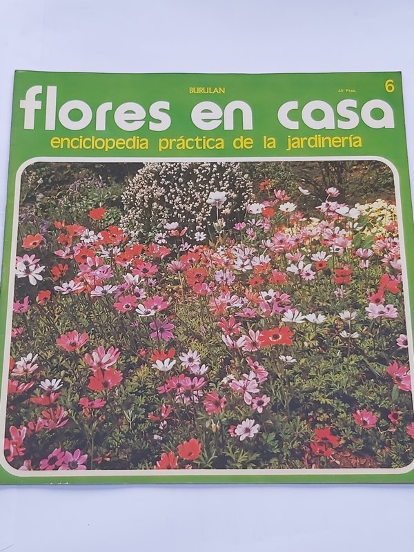 Flores en casa. 6