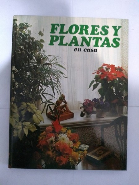 Flores y plantas en casa