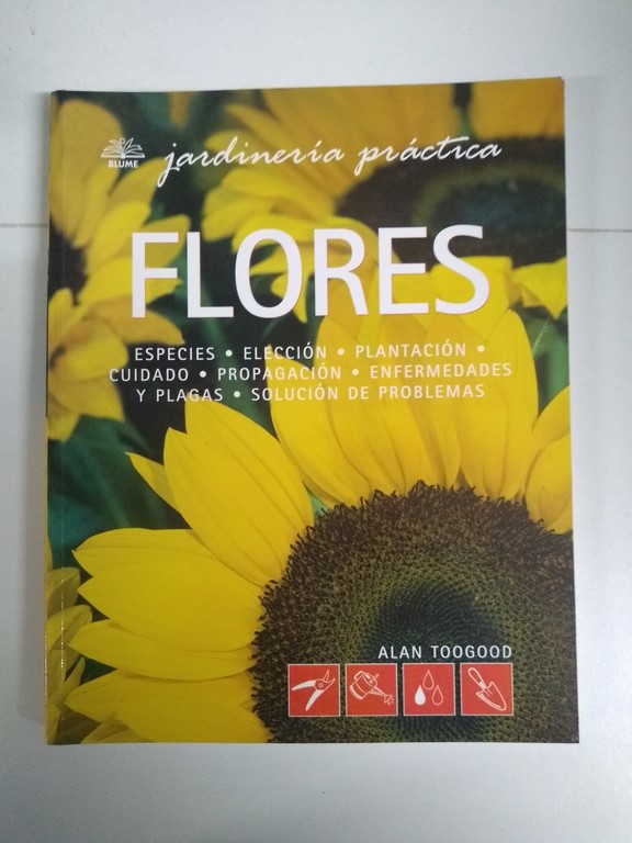 Flores