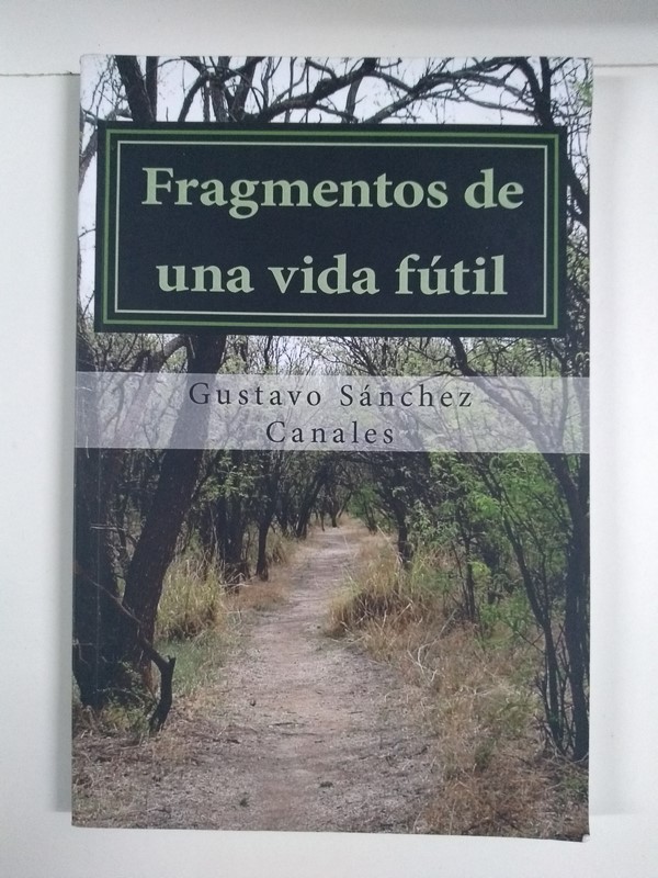 Fragmentos de una vida fútil