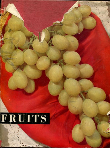FRUITS, CARACTERES ET QUALITES.