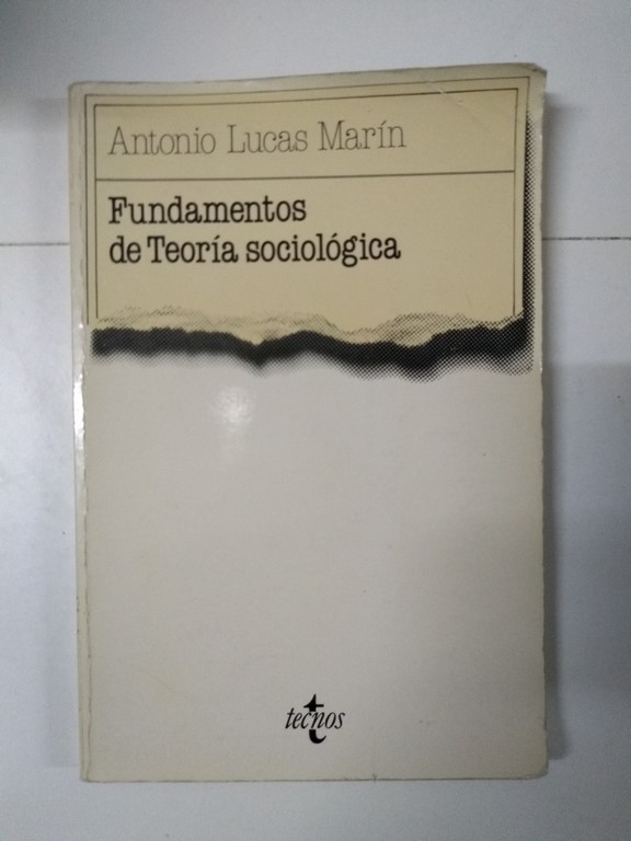 Fundamentos de Teoría sociológica
