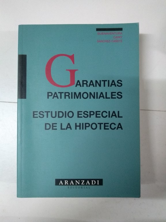 Garantías Patrimoniales. Estudio Especial de la Hipoteca