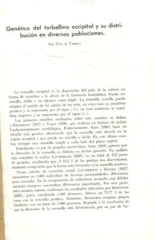 GENETICA DEL TORBELLINO OCCIPITAL Y SU DISTRIBUCION EN DIVERSAS POBLACIONES.
