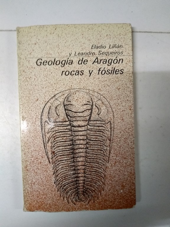 Geología de Aragón, rocas y fósiles