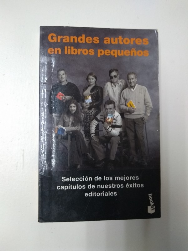Grandes autores en libros pequeños
