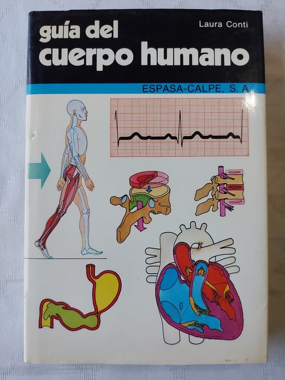 Guía del cuerpo humano