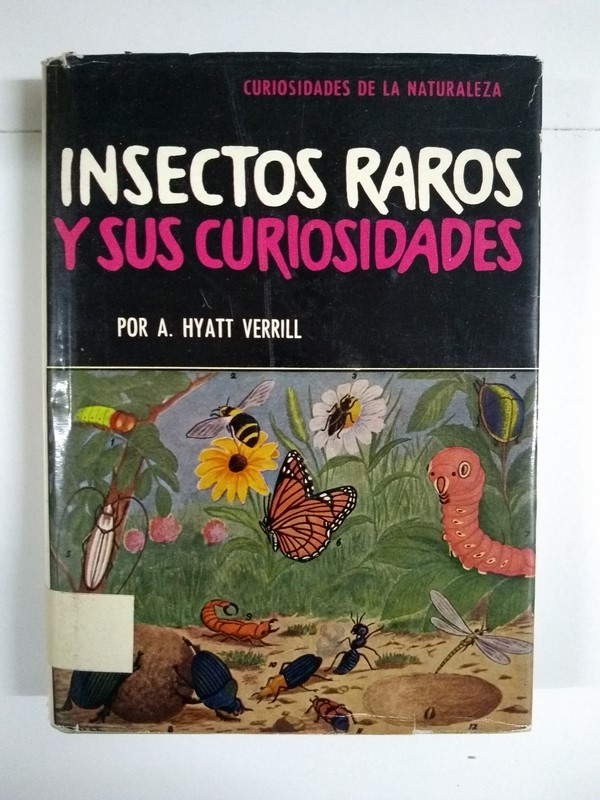 Insectos raros y sus curiosidades