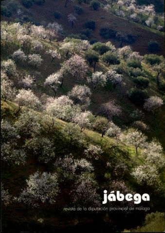 JABEGA. REVISTA DE LA DIPUTACION PROVINCIAL DE MALAGA. Nº 99. LA DIPUTACION DE MALAGA: DOCUMENTOS PARA SU HISTORIA.