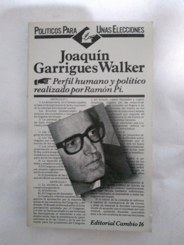 Joaquin Garrigues Walker
