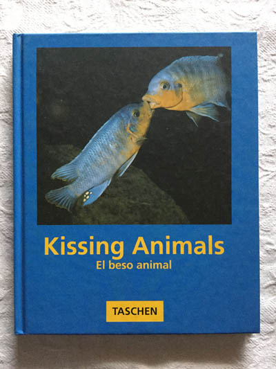 Kissing Animals. El beso animal