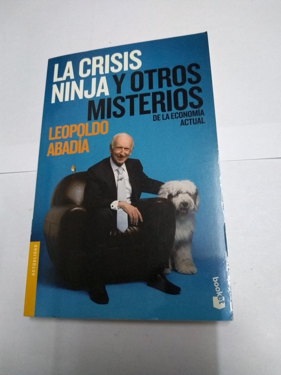 La crisis ninja y otros misterios de la economía actual