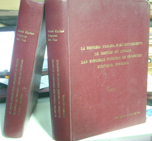LA EMPRESA PUBLICA COMO INSTRUMENTO DE GESTION DE AYUDAS: LAS EMPRESAS PUBLICAS DE PROMOCION ECONOMICA REGIONAL.