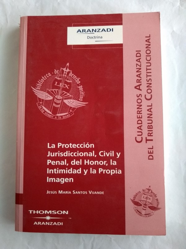 La Proteccion Jurisdiccional, Civil y Penal, del Honor, la Intimidad y la Propia Imagen