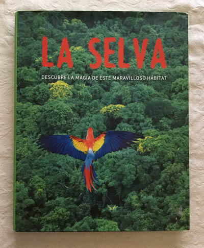 La selva. Descubre la magia de este maravilloso hábitat