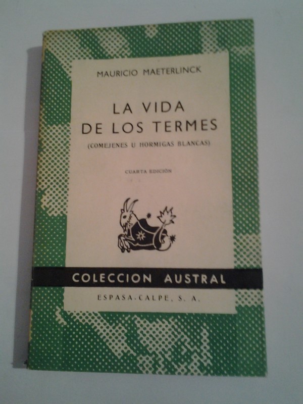 La vida de los Termes