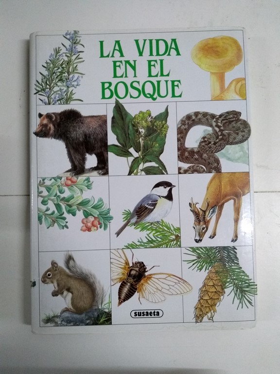 La vida en el bosque