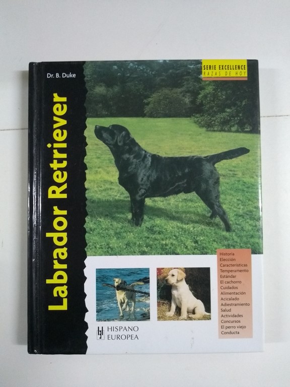 Labrador Retriever