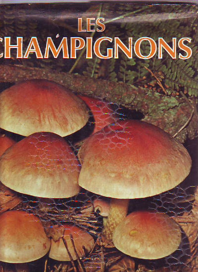 LES CHAMPIGNONS.