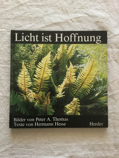 Licht ist Hoffnung