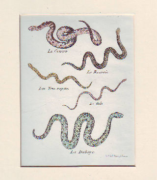 LITOGRAFIA ILUMINADA DEL SIGLO XIX. LA CENCRO. LA ROSARIO. LAS TRES RAYAS. LA HILO. LA DOBOYE.