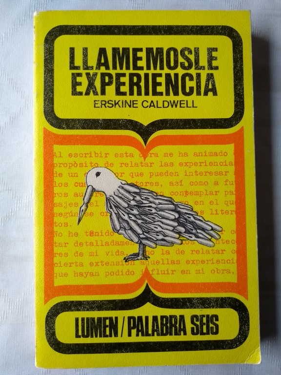 Llamemosle experiencia