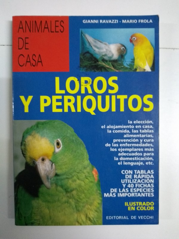 Loros y periquitos