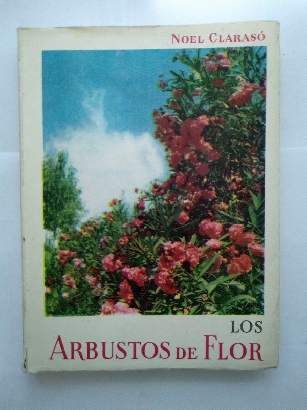 Los arbustos de flor