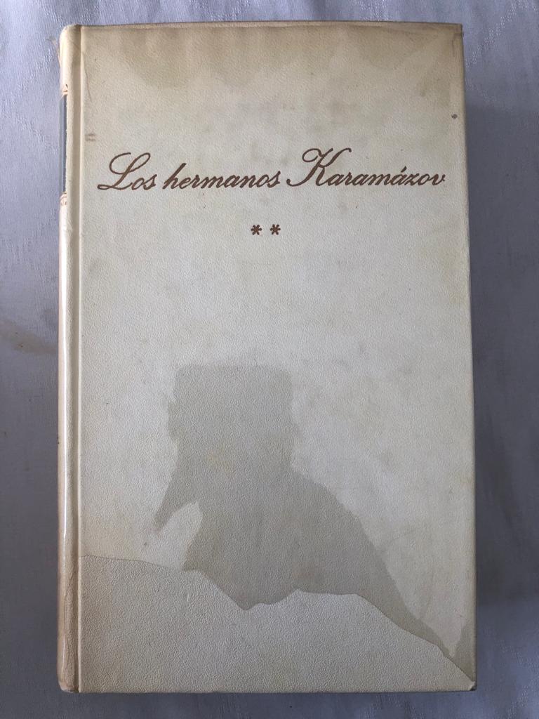 Los hermanos Karamázov II