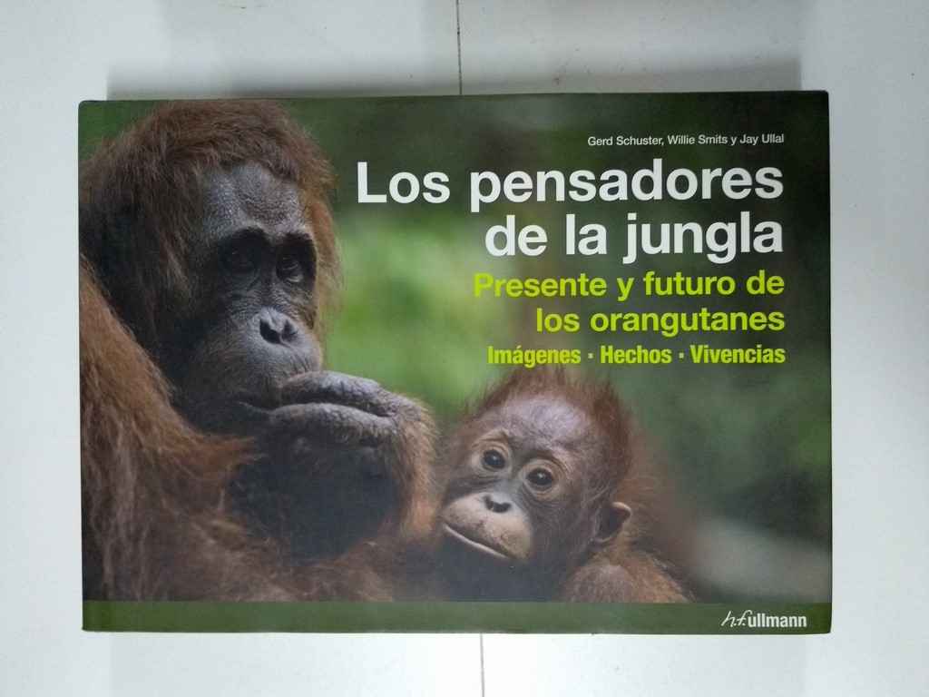 Los pensadores de la jungla