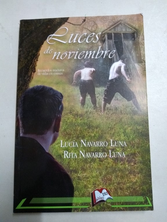 Luces de noviembre