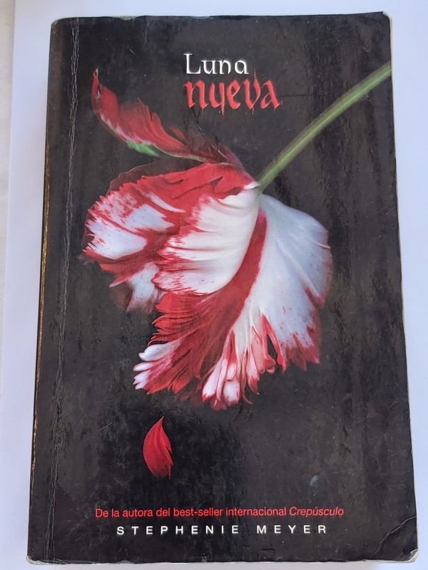 Luna Nueva
