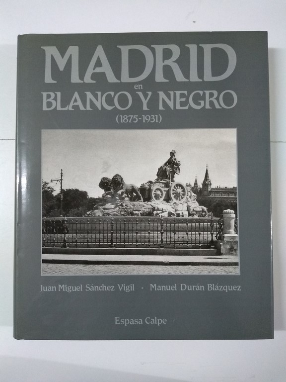 Madrid en blanco y negro (1875 – 1931)