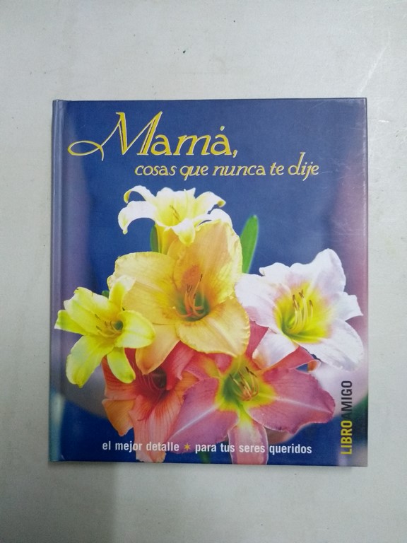 Mamá, cosas que nunca te dije