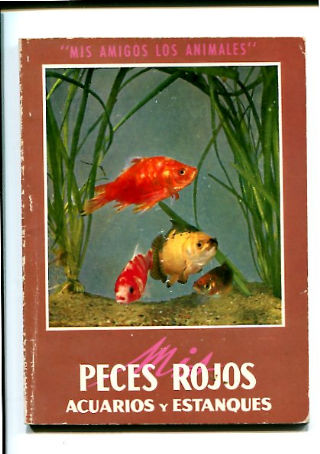 MIS PECES ROJOS: ACUARIOS Y ESTANQUES.
