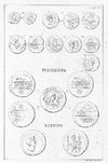 MONEDAS DE LA ESPAÑA ULTERIOR. LAMINA LXXIV: TRADUCTA (ALGECIRAS). TURIRIICINA (CASAS DE REINA, BADAJOZ). VENTIPO (CASARICHE, SEVILLA).