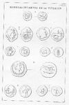 MONEDAS DE LA ESPAÑA ULTERIOR. LAMINA LXXIX: MONEDAS INCIERTAS DE LA ULTERIOR.