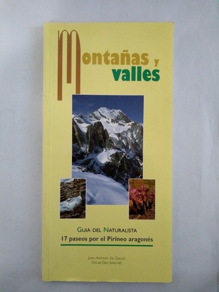 Montañas y valles. I