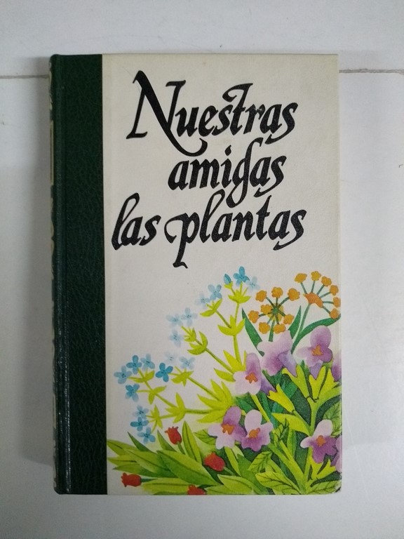 Nuestras amigas las plantas