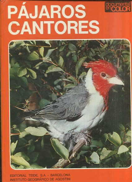 PAJAROS CANTORES.