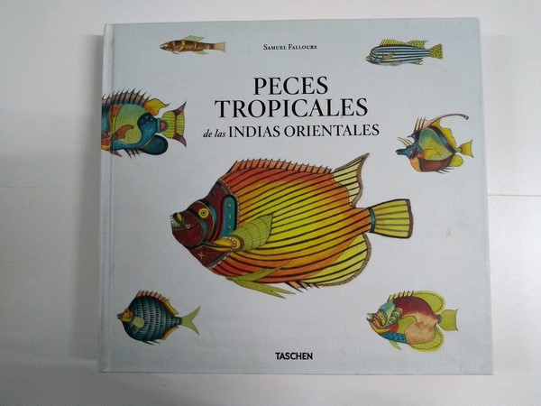 Peces tropicales de las indias orientales