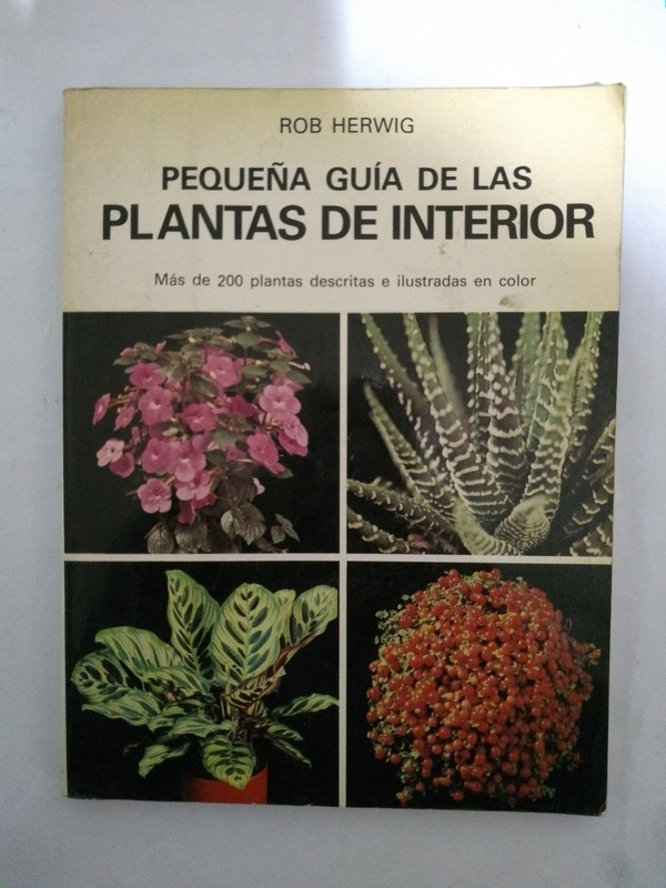 Pequeña guia de las plantas de interior