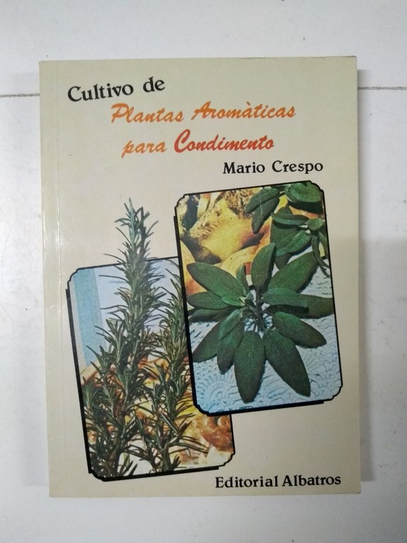 Plantas Aromáticas para Condimento